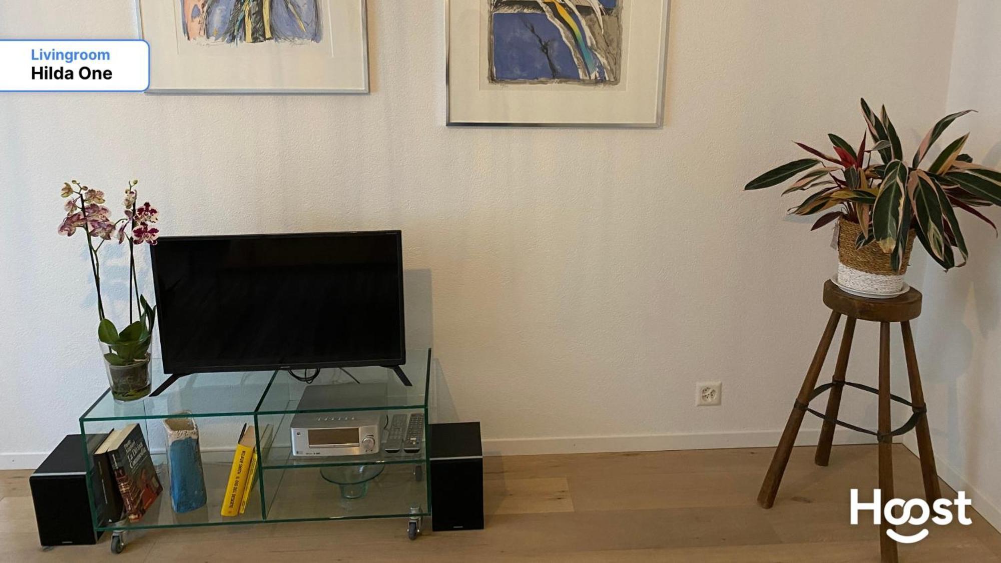 ציריך H1 With 4,5 Room, Bathroom, Kitchen, Central, Quiet & Modern With Office מראה חיצוני תמונה
